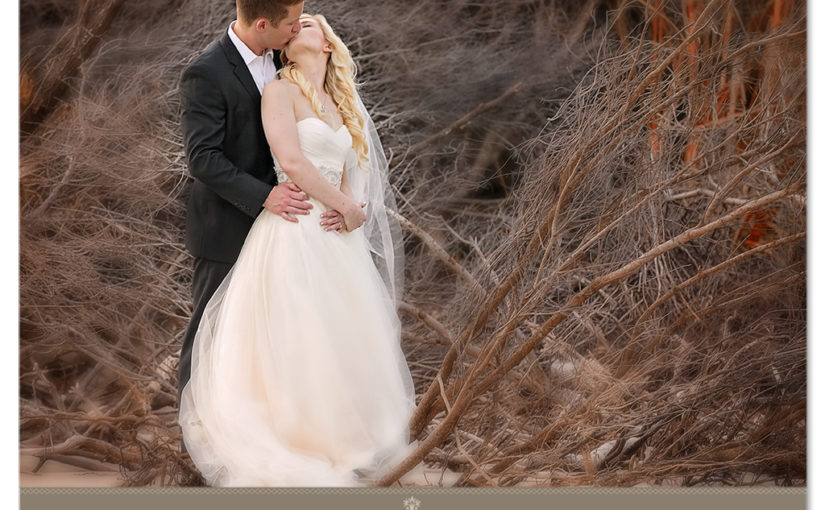 A Fabulous Wedding At Seaside Point & Palmetto Hall Fete At Wild Dunes Resort For Elizabeth & Brandon